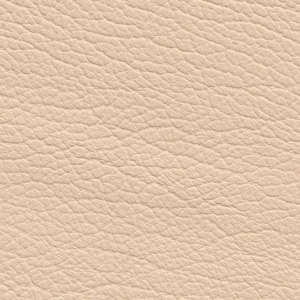Leather Buffalo colour Cream