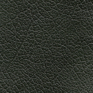 Leather Buffalo colour Green