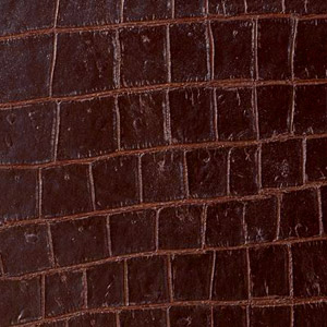 Leather Crocodile colour Brown