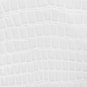 Leather Crocodile colour White
