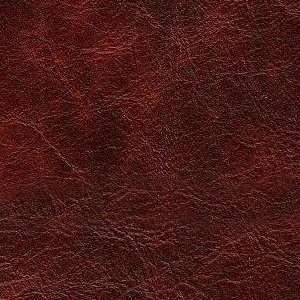 Leather Savage colour Armagnac