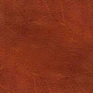 Leather Savage colour Cognac