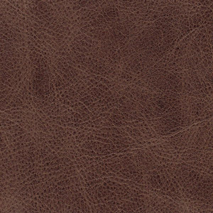 Leather Full aniline colour Brown Dark